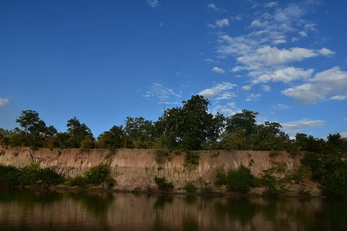 Rufiji River with an eroded bank and trees under a deep blue sky