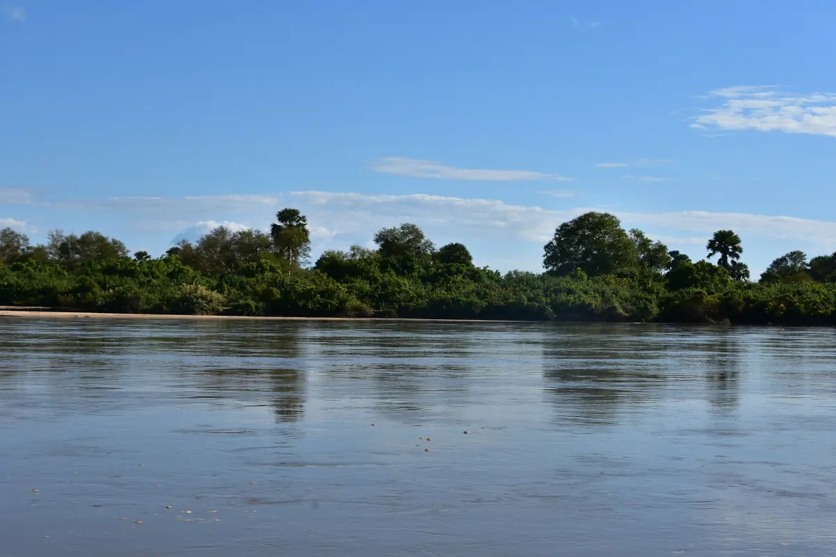 Ruhiger Rufiji mit bewaldeten Ufern unter blauem Himmel und Wolken