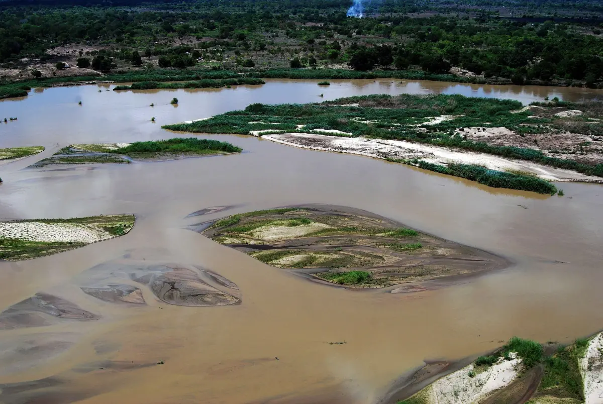 Flussarme des Rufiji mit Sandbänken und grünen Inseln von oben