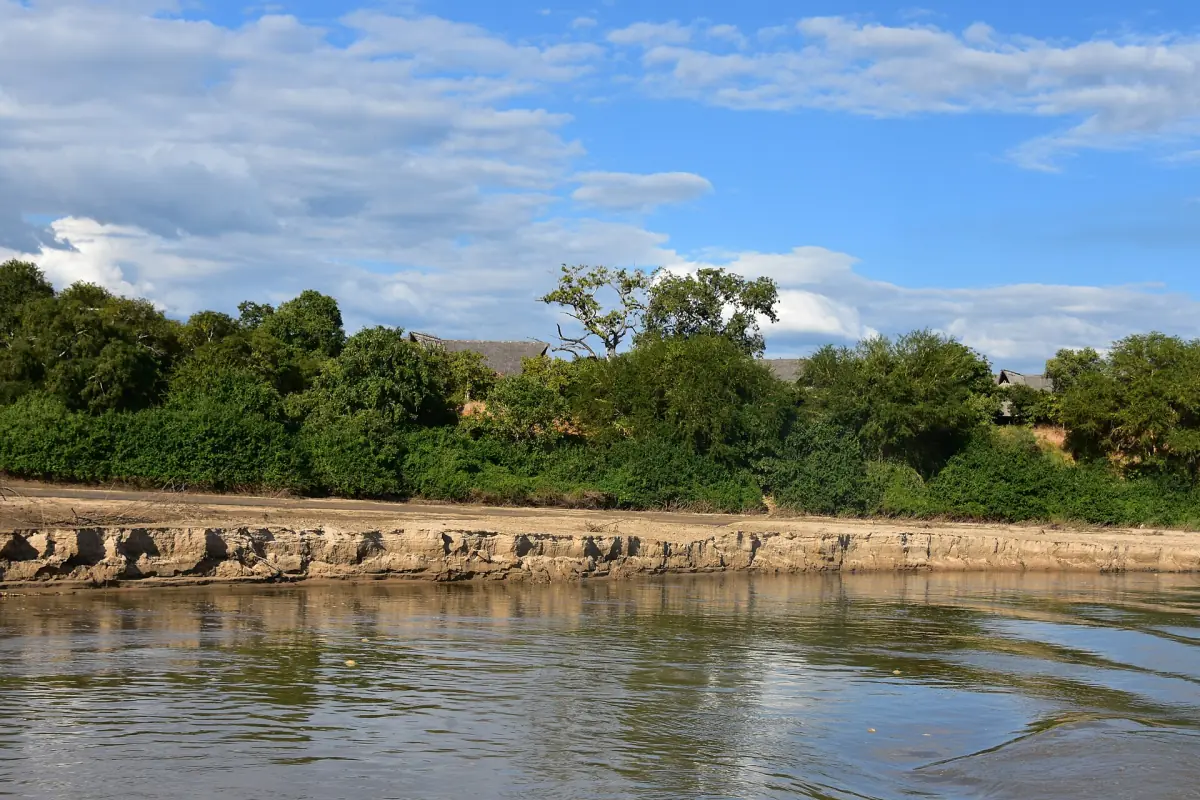 Green wooded bank and sandy shore along the Rufiji River