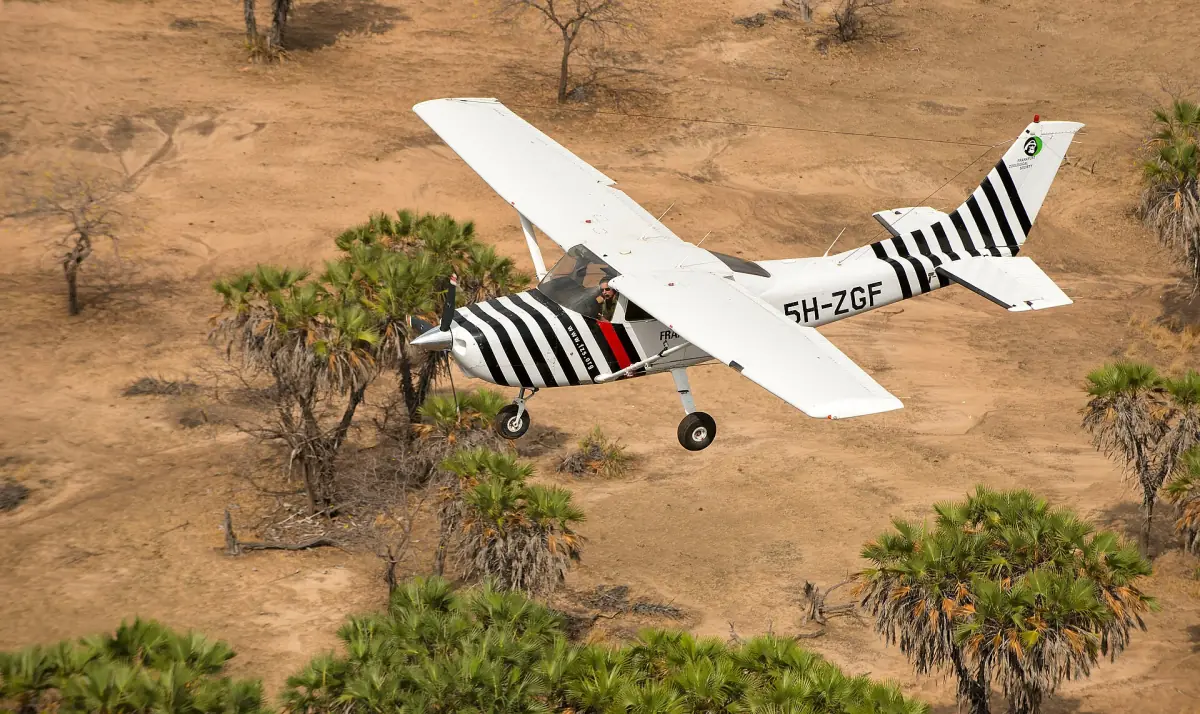 Small zebra-striped plane flying low over bush and palms